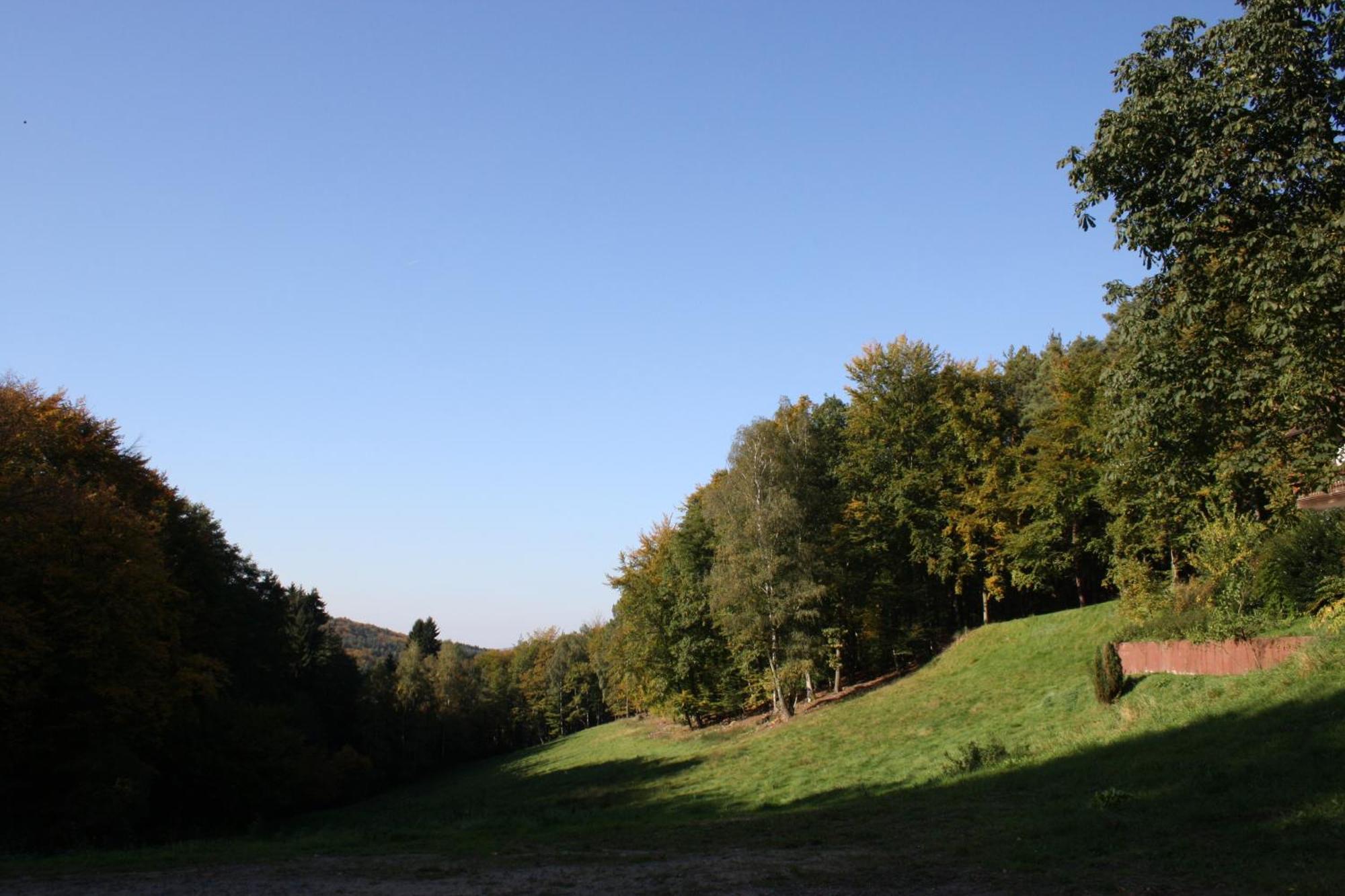 Wald-Hotel Heppe Dammbach Εξωτερικό φωτογραφία