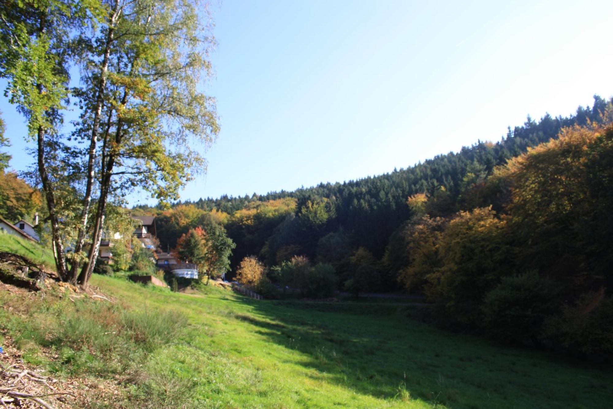 Wald-Hotel Heppe Dammbach Εξωτερικό φωτογραφία