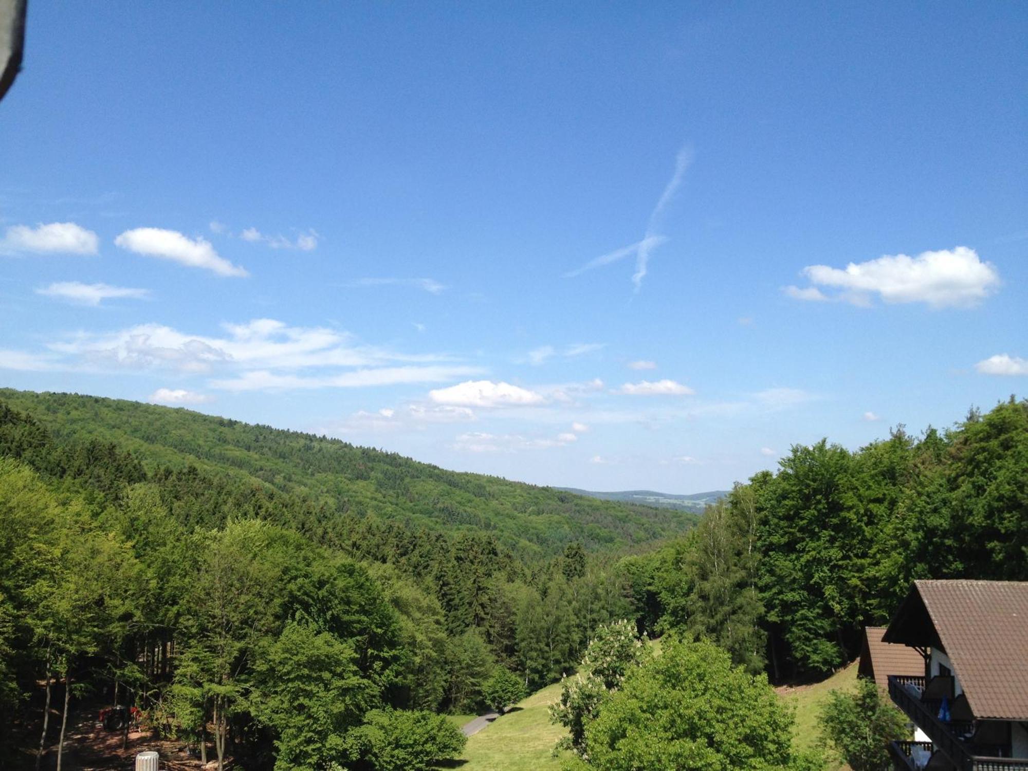 Wald-Hotel Heppe Dammbach Εξωτερικό φωτογραφία
